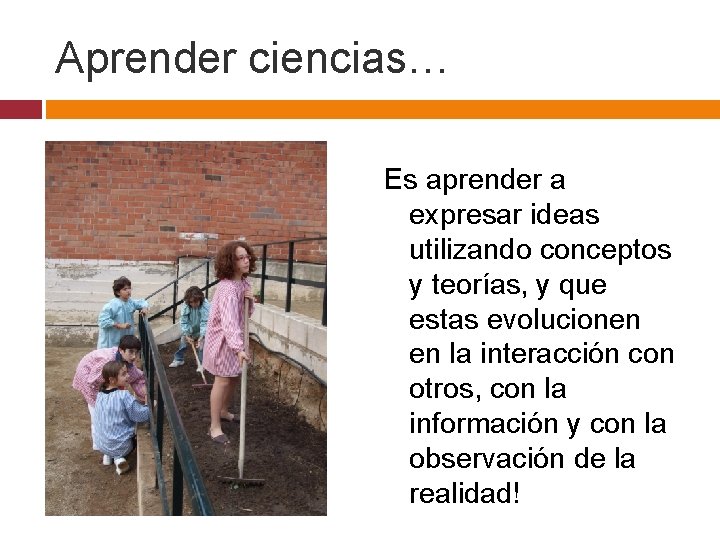 Aprender ciencias… Es aprender a expresar ideas utilizando conceptos y teorías, y que estas