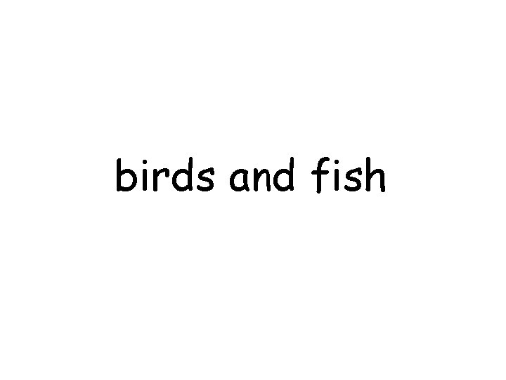 birds and fish 