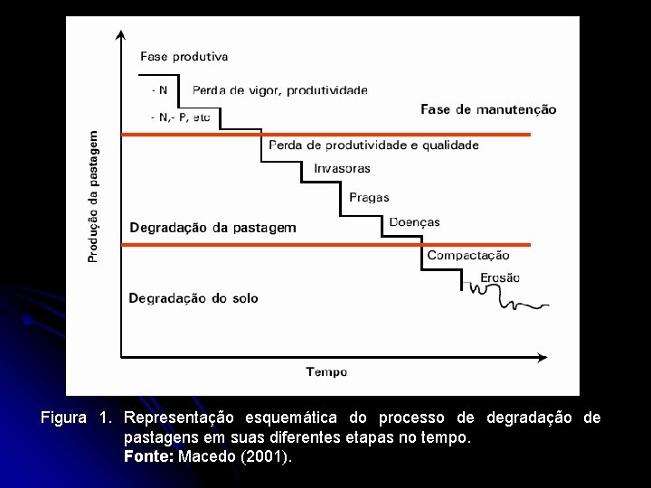 Figura 1. Representação esquemática do processo de degradação de pastagens em suas diferentes etapas