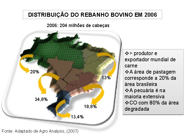 DISTRIBUIÇÃO DO REBANHO BOVINO EM 2006: 204 milhões de cabeças 20% 13% 34, 8%