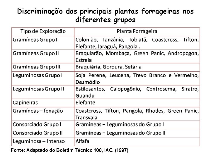 Discriminação das principais plantas forrageiras nos diferentes grupos Fonte: Adaptado do Boletim Técnico 100,