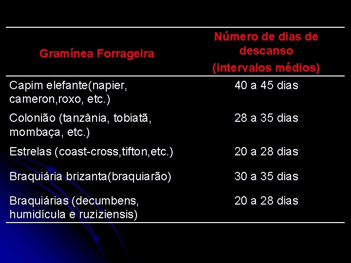 Gramínea Forrageira Capim elefante(napier, cameron, roxo, etc. ) Número de dias de descanso (intervalos