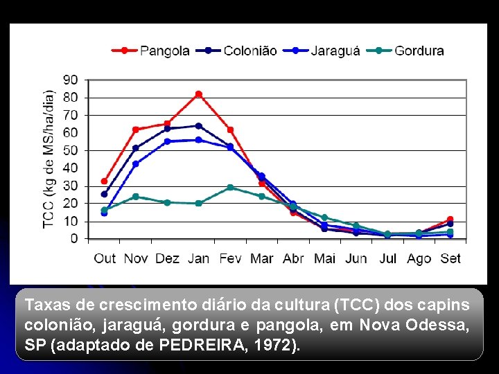 Taxas de crescimento diário da cultura (TCC) dos capins colonião, jaraguá, gordura e pangola,