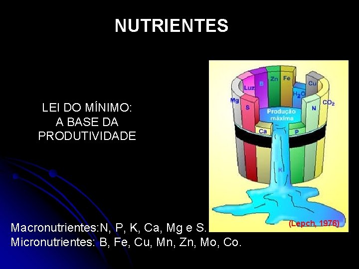 NUTRIENTES LEI DO MÍNIMO: A BASE DA PRODUTIVIDADE Macronutrientes: N, P, K, Ca, Mg