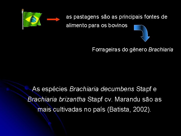 as pastagens são as principais fontes de alimento para os bovinos Forrageiras do gênero