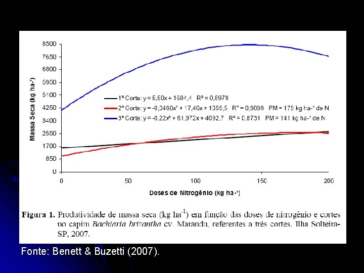 Fonte: Benett & Buzetti (2007). 