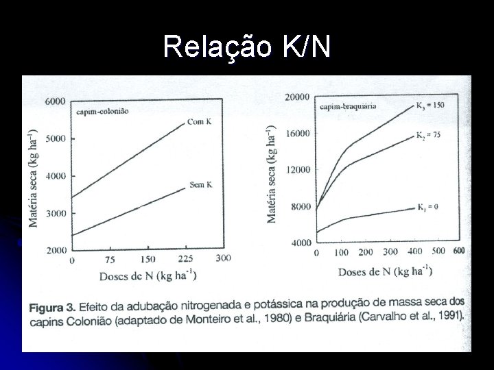 Relação K/N 