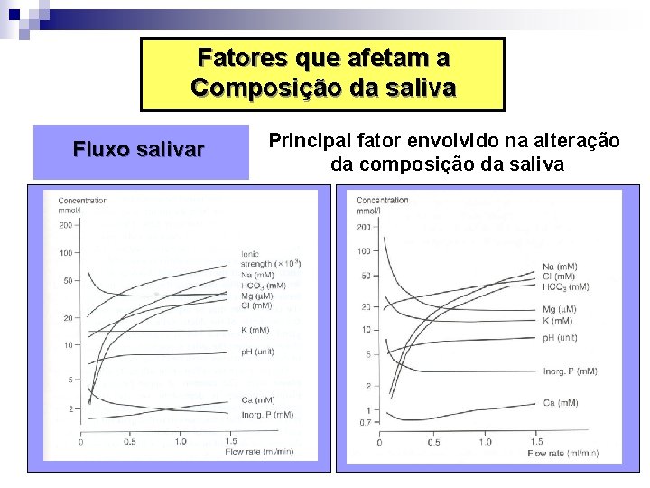 Fatores que afetam a Composição da saliva Fluxo salivar Principal fator envolvido na alteração
