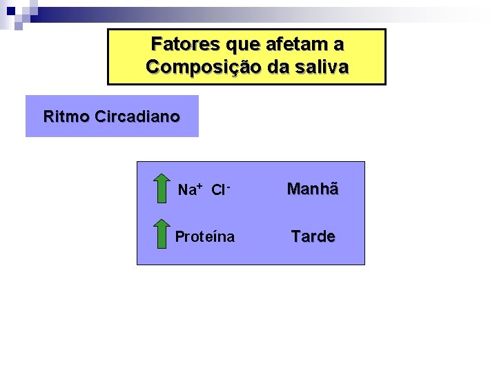 Fatores que afetam a Composição da saliva Ritmo Circadiano Na+ Cl- Manhã Proteína Tarde