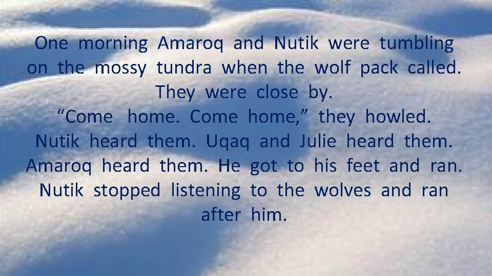 One morning Amaroq and Nutik were tumbling on the mossy tundra when the wolf