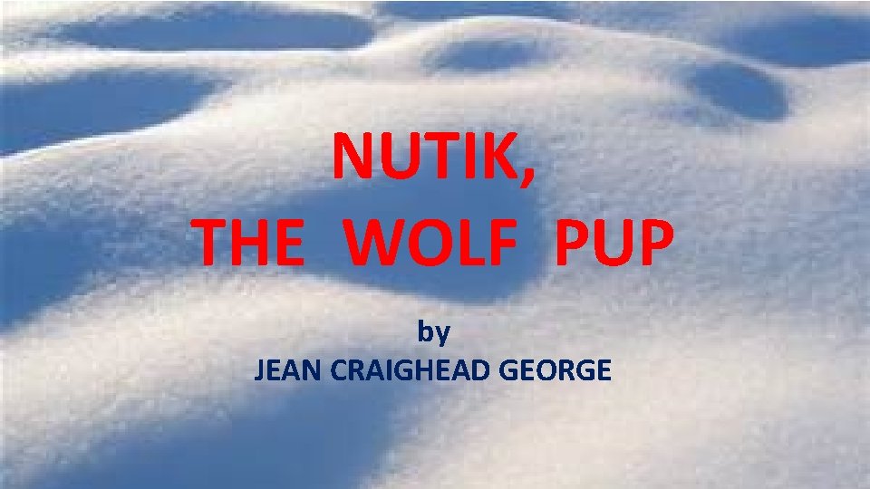 NUTIK, THE WOLF PUP by JEAN CRAIGHEAD GEORGE 