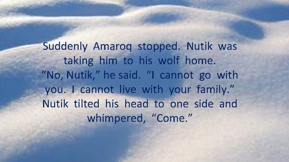 Suddenly Amaroq stopped. Nutik was taking him to his wolf home. “No, Nutik, ”