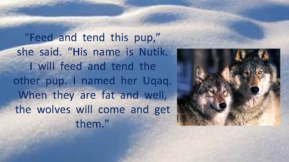 “Feed and tend this pup, ” she said. “His name is Nutik. I will