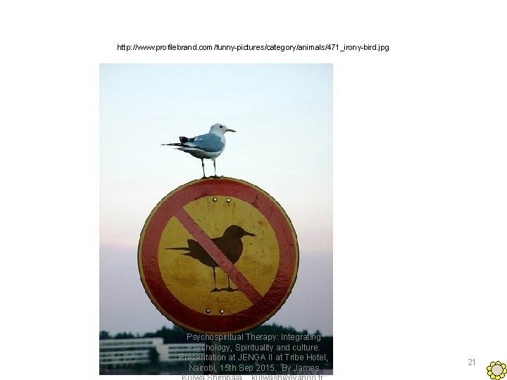 http: //www. profilebrand. com/funny-pictures/category/animals/471_irony-bird. jpg Psychospiritual Therapy: Integrating Psychology, Spirituality and culture. Presentation at