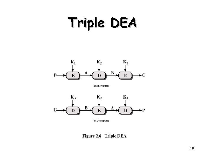 Triple DEA 19 