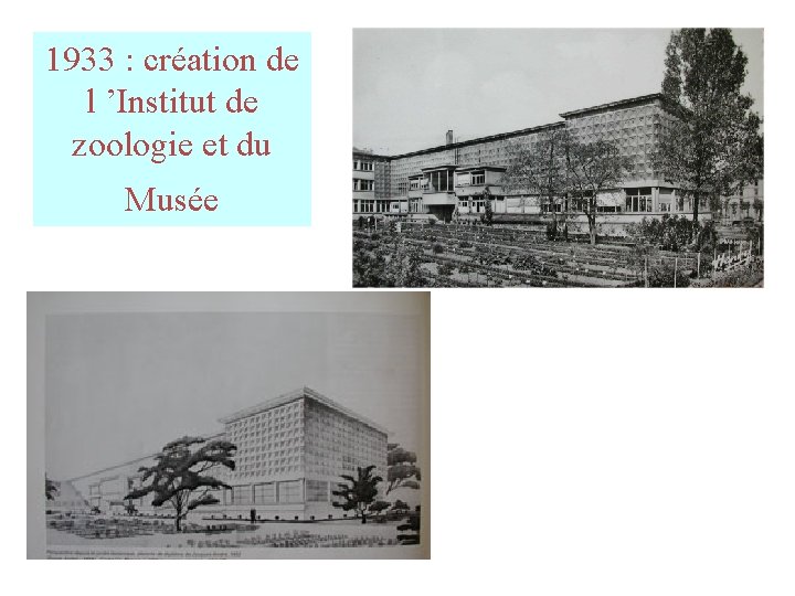 1933 : création de l ’Institut de zoologie et du Musée 1933 : création de l ’Institut de zoologie et du Musée