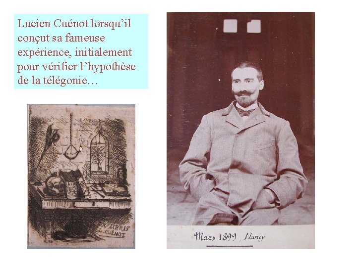 Lucien Cuénot lorsqu’il conçut sa fameuse expérience, initialement pour vérifier l’hypothèse de la télégonie… Lucien Cuénot lorsqu’il conçut sa fameuse expérience, initialement pour vérifier l’hypothèse de la télégonie…