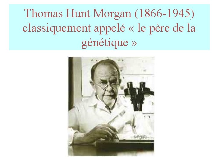 Thomas Hunt Morgan (1866 -1945) classiquement appelé « le père de la génétique » Thomas Hunt Morgan (1866 -1945) classiquement appelé « le père de la génétique »