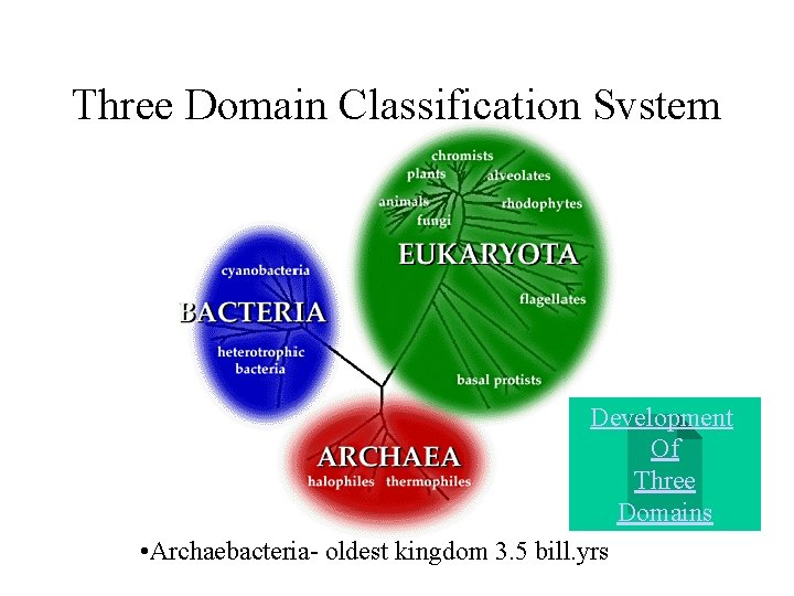 Three Domain Classification System Development Of Three Domains • Archaebacteria- oldest kingdom 3. 5