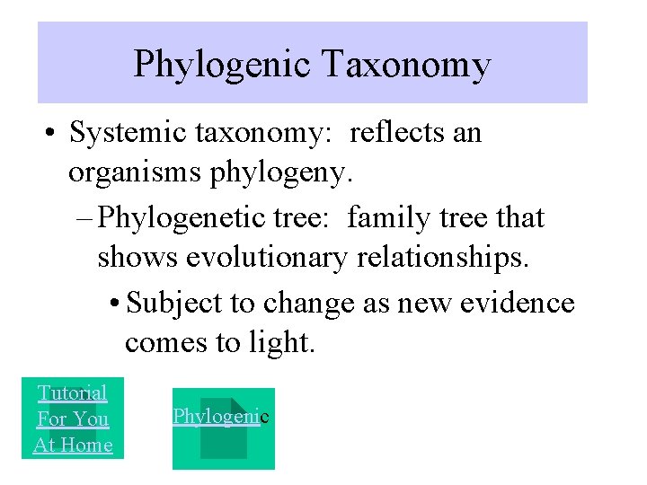 Phylogenic Taxonomy • Systemic taxonomy: reflects an organisms phylogeny. – Phylogenetic tree: family tree