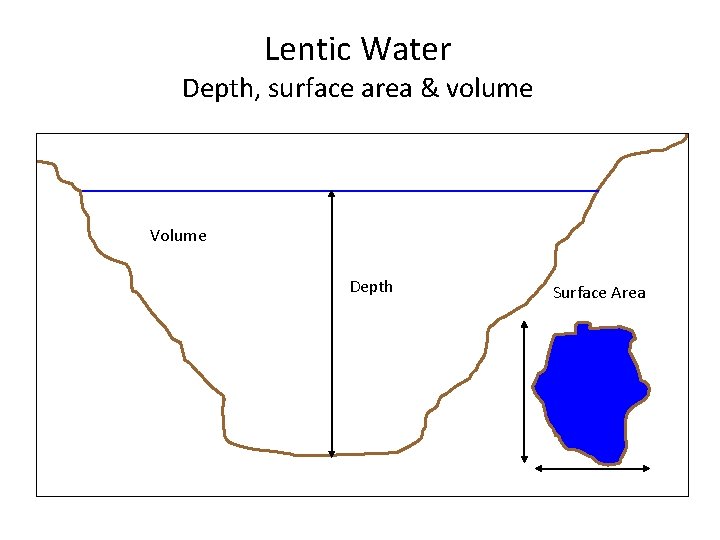 Lentic Water Depth, surface area & volume Volume Depth Surface Area 