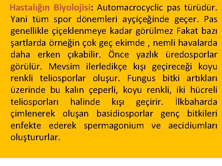 Hastalığın Biyolojisi: Automacrocyclic pas türüdür. Yani tüm spor dönemleri ayçiçeğinde geçer. Pas genellikle çiçeklenmeye Hastalığın Biyolojisi: Automacrocyclic pas türüdür. Yani tüm spor dönemleri ayçiçeğinde geçer. Pas genellikle çiçeklenmeye