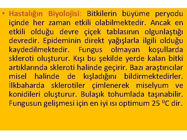 • Hastalığın Biyolojisi: Bitkilerin büyüme peryodu içinde her zaman etkili olabilmektedir. Ancak en • Hastalığın Biyolojisi: Bitkilerin büyüme peryodu içinde her zaman etkili olabilmektedir. Ancak en