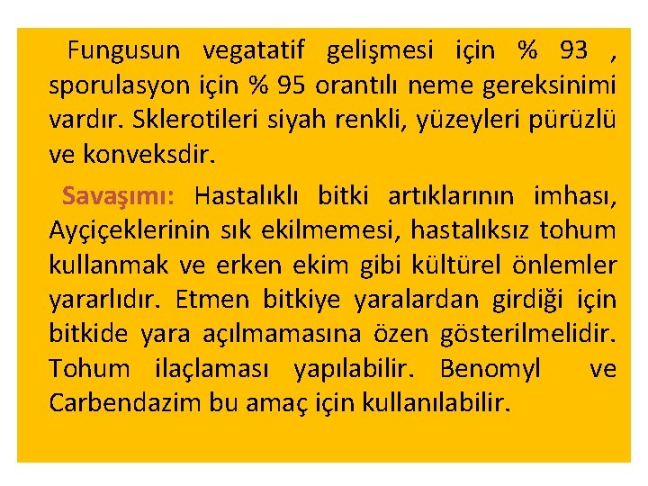 Fungusun vegatatif gelişmesi için % 93 , sporulasyon için % 95 orantılı neme gereksinimi Fungusun vegatatif gelişmesi için % 93 , sporulasyon için % 95 orantılı neme gereksinimi