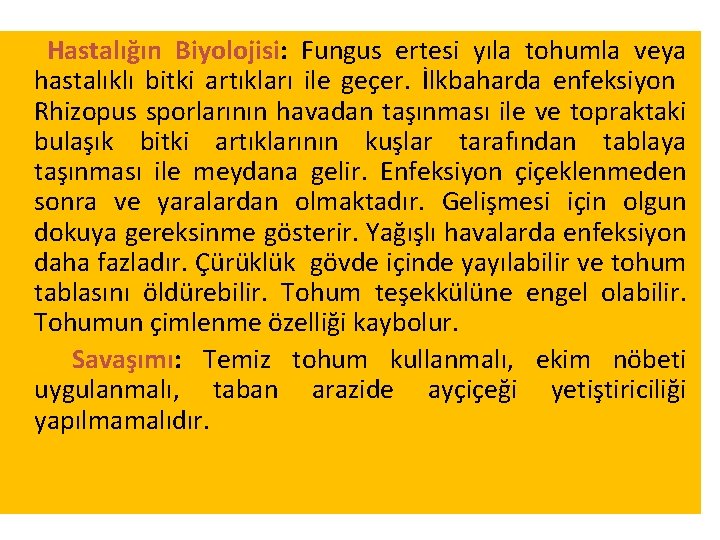 Hastalığın Biyolojisi: Fungus ertesi yıla tohumla veya hastalıklı bitki artıkları ile geçer. İlkbaharda enfeksiyon Hastalığın Biyolojisi: Fungus ertesi yıla tohumla veya hastalıklı bitki artıkları ile geçer. İlkbaharda enfeksiyon