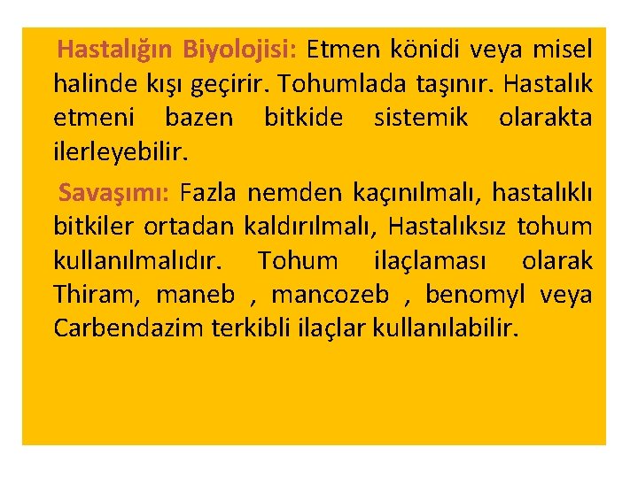 Hastalığın Biyolojisi: Etmen könidi veya misel halinde kışı geçirir. Tohumlada taşınır. Hastalık etmeni bazen Hastalığın Biyolojisi: Etmen könidi veya misel halinde kışı geçirir. Tohumlada taşınır. Hastalık etmeni bazen