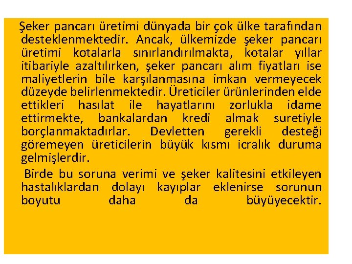 Şeker pancarı üretimi dünyada bir çok ülke tarafından desteklenmektedir. Ancak, ülkemizde şeker pancarı üretimi Şeker pancarı üretimi dünyada bir çok ülke tarafından desteklenmektedir. Ancak, ülkemizde şeker pancarı üretimi