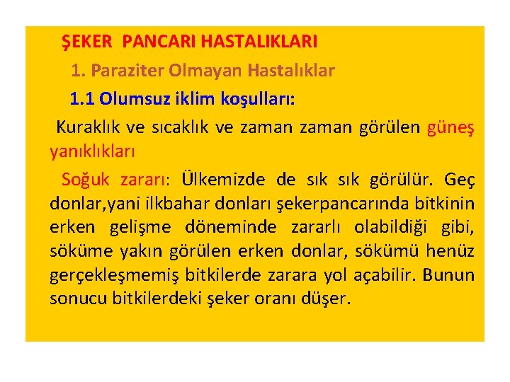 ŞEKER PANCARI HASTALIKLARI 1. Paraziter Olmayan Hastalıklar 1. 1 Olumsuz iklim koşulları: Kuraklık ve ŞEKER PANCARI HASTALIKLARI 1. Paraziter Olmayan Hastalıklar 1. 1 Olumsuz iklim koşulları: Kuraklık ve