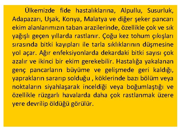 Ülkemizde fide hastalıklarına, Alpullu, Susurluk, Adapazarı, Uşak, Konya, Malatya ve diğer şeker pancarı ekim Ülkemizde fide hastalıklarına, Alpullu, Susurluk, Adapazarı, Uşak, Konya, Malatya ve diğer şeker pancarı ekim