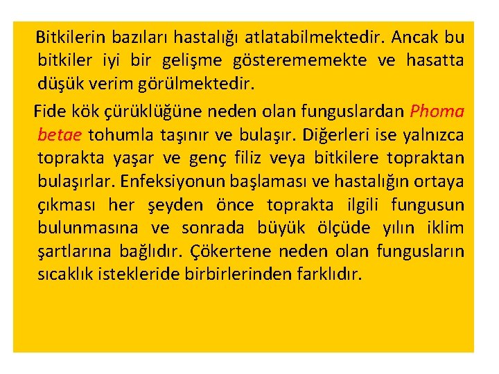 Bitkilerin bazıları hastalığı atlatabilmektedir. Ancak bu bitkiler iyi bir gelişme gösterememekte ve hasatta düşük Bitkilerin bazıları hastalığı atlatabilmektedir. Ancak bu bitkiler iyi bir gelişme gösterememekte ve hasatta düşük