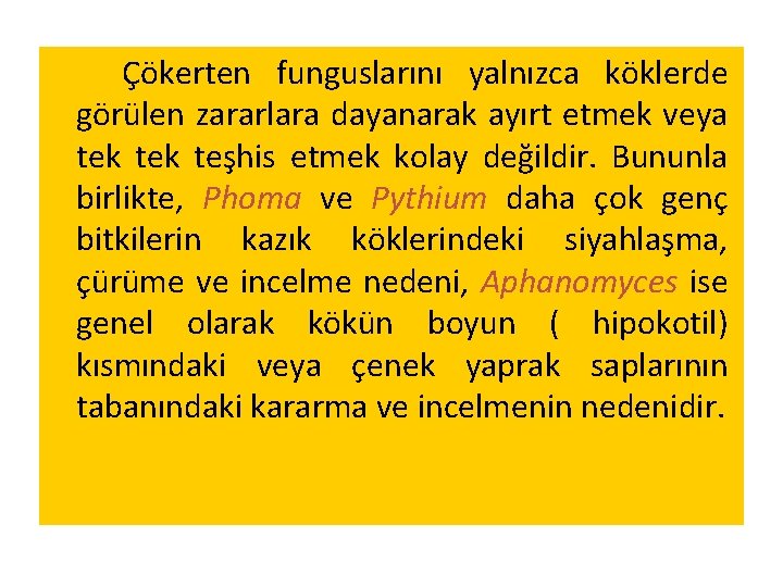 Çökerten funguslarını yalnızca köklerde görülen zararlara dayanarak ayırt etmek veya tek teşhis etmek kolay Çökerten funguslarını yalnızca köklerde görülen zararlara dayanarak ayırt etmek veya tek teşhis etmek kolay