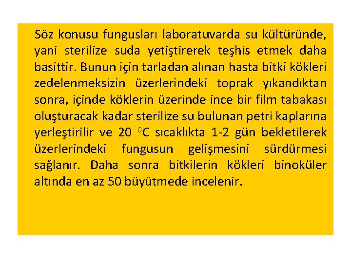 Söz konusu fungusları laboratuvarda su kültüründe, yani sterilize suda yetiştirerek teşhis etmek daha basittir. Söz konusu fungusları laboratuvarda su kültüründe, yani sterilize suda yetiştirerek teşhis etmek daha basittir.