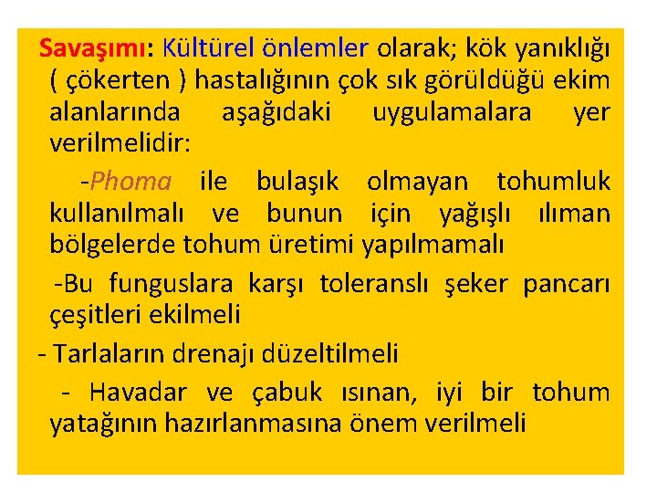 Savaşımı: Kültürel önlemler olarak; kök yanıklığı ( çökerten ) hastalığının çok sık görüldüğü ekim Savaşımı: Kültürel önlemler olarak; kök yanıklığı ( çökerten ) hastalığının çok sık görüldüğü ekim