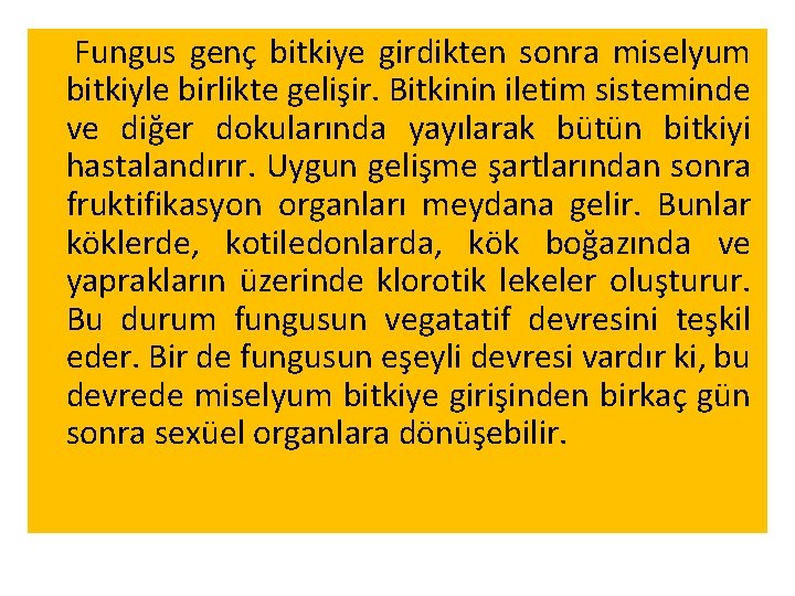 Fungus genç bitkiye girdikten sonra miselyum bitkiyle birlikte gelişir. Bitkinin iletim sisteminde ve diğer Fungus genç bitkiye girdikten sonra miselyum bitkiyle birlikte gelişir. Bitkinin iletim sisteminde ve diğer