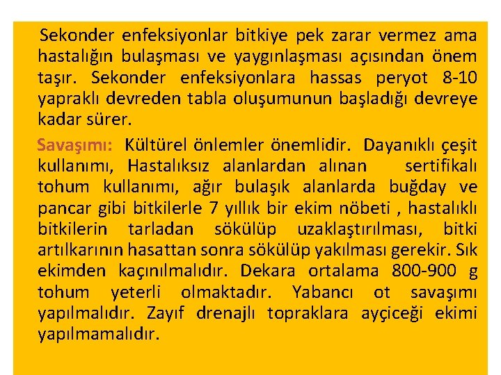 Sekonder enfeksiyonlar bitkiye pek zarar vermez ama hastalığın bulaşması ve yaygınlaşması açısından önem taşır. Sekonder enfeksiyonlar bitkiye pek zarar vermez ama hastalığın bulaşması ve yaygınlaşması açısından önem taşır.