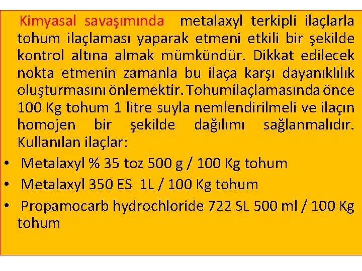 Kimyasal savaşımında metalaxyl terkipli ilaçlarla tohum ilaçlaması yaparak etmeni etkili bir şekilde kontrol altına Kimyasal savaşımında metalaxyl terkipli ilaçlarla tohum ilaçlaması yaparak etmeni etkili bir şekilde kontrol altına