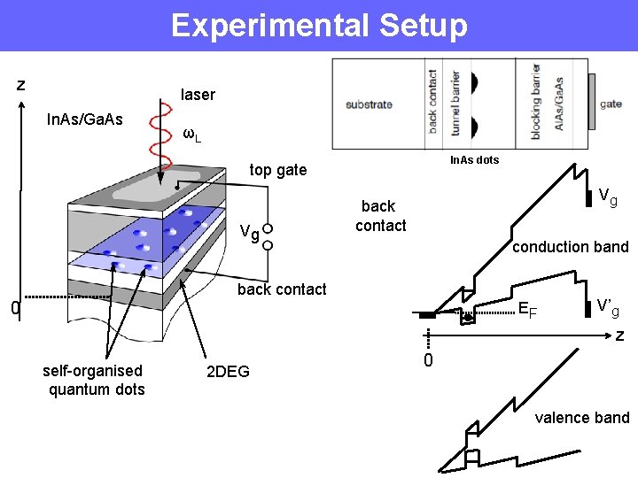 Experimental Setup z laser In. As/Ga. As ωL In. As dots top gate Vg