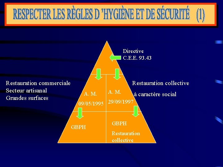 Directive C. E. E. 93. 43 Restauration commerciale Secteur artisanal A. M. Grandes surfaces