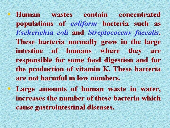 § Human wastes contain concentrated populations of coliform bacteria such as Escherichia coli and