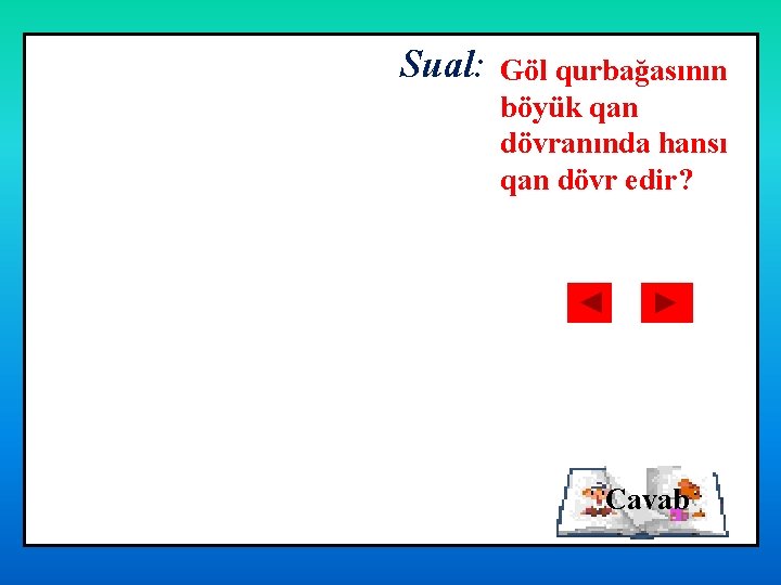 Sual: Göl qurbağasının böyük qan dövranında hansı qan dövr edir? Cavab 