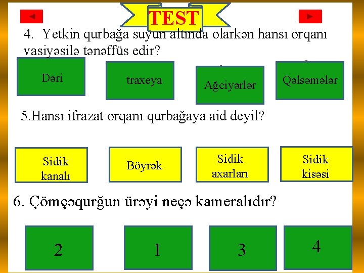 TEST 4. Yetkin qurbağa suyun altında olarkən hansı orqanı vasiyəsilə tənəffüs edir? Dəri traxeya TEST 4. Yetkin qurbağa suyun altında olarkən hansı orqanı vasiyəsilə tənəffüs edir? Dəri traxeya