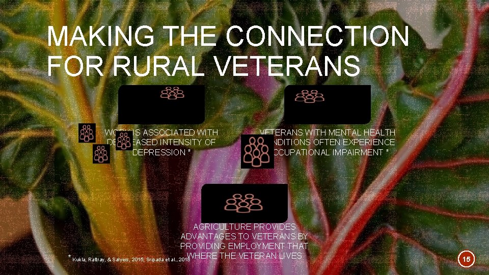 MAKING THE CONNECTION FOR RURAL VETERANS WORK IS ASSOCIATED WITH DECREASED INTENSITY OF DEPRESSION