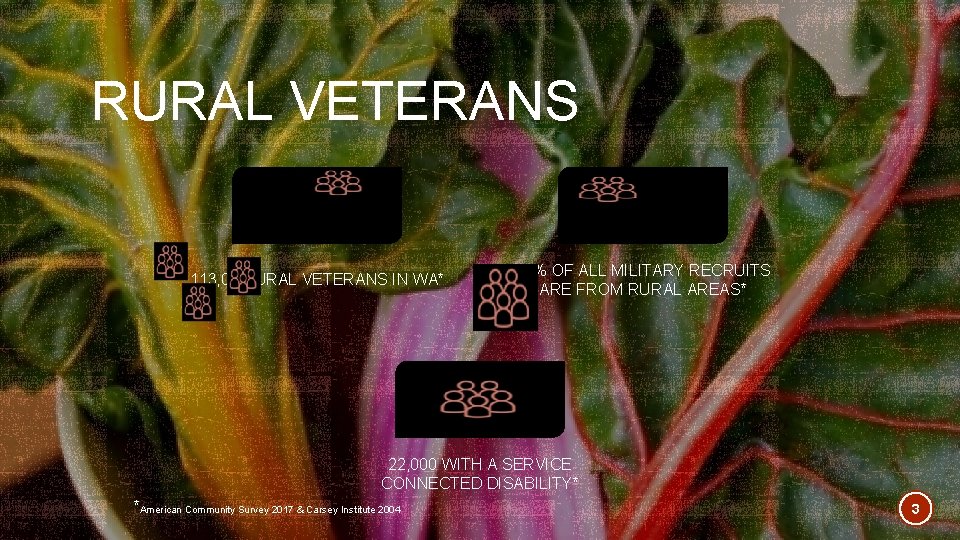 RURAL VETERANS 113, 00 RURAL VETERANS IN WA* 44% OF ALL MILITARY RECRUITS ARE