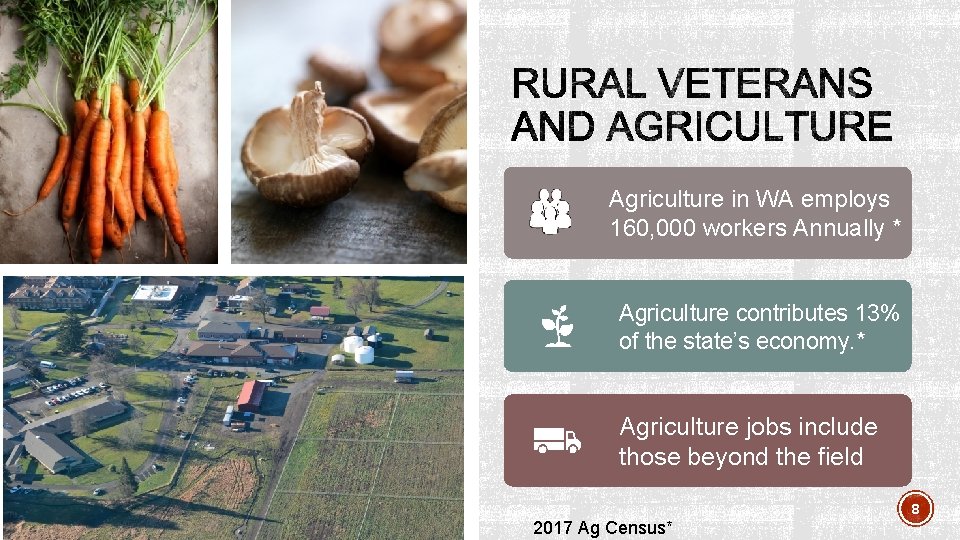 Agriculture in WA employs 160, 000 workers Annually * Agriculture contributes 13% of the