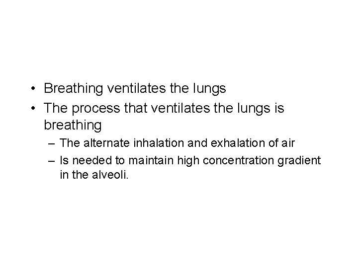  • Breathing ventilates the lungs • The process that ventilates the lungs is