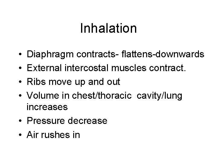 Inhalation • • Diaphragm contracts- flattens-downwards External intercostal muscles contract. Ribs move up and